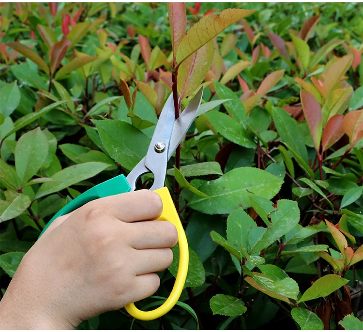 BloomCut Floral & Garden Shears view 3