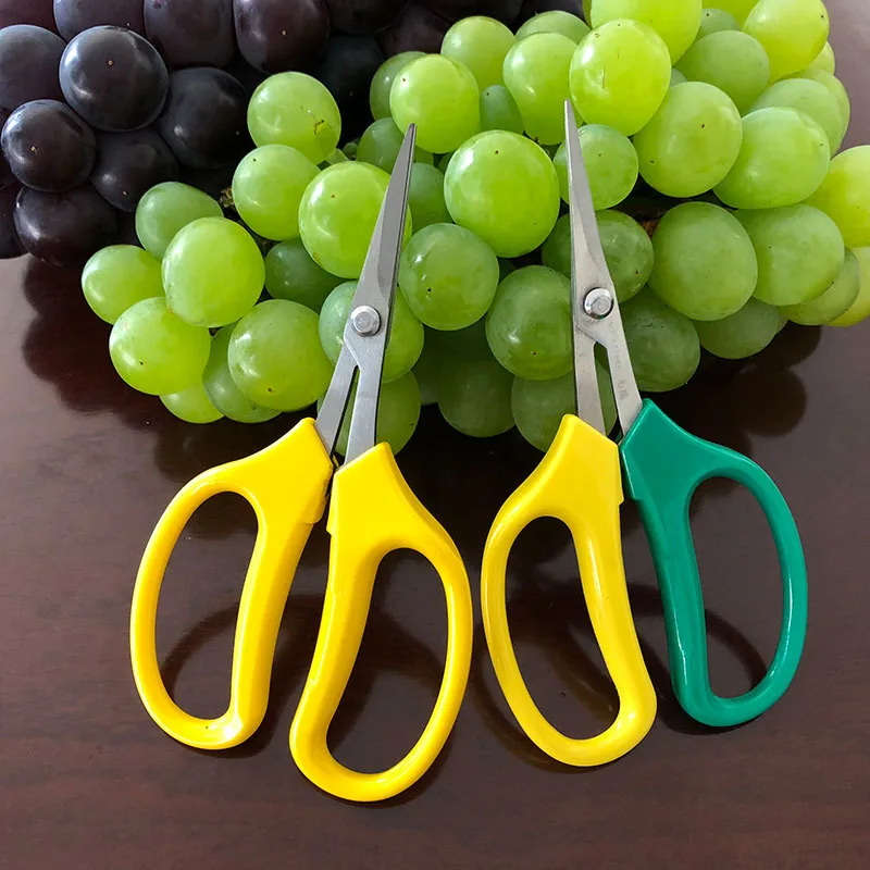HarvestPro Grape & Fruit Snips view 3