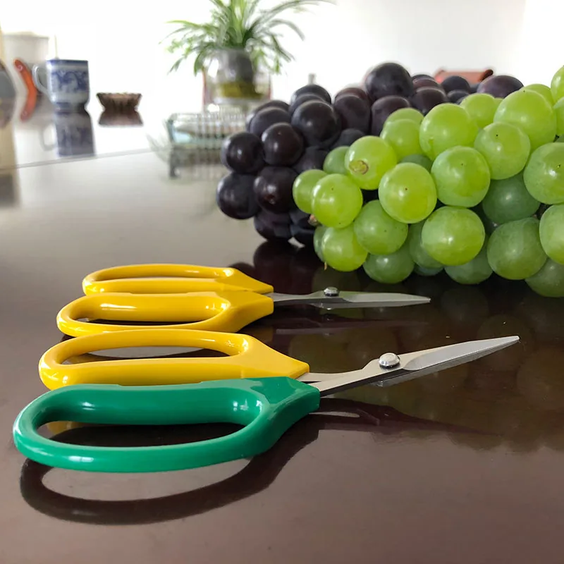 HarvestPro Grape & Fruit Snips view 4